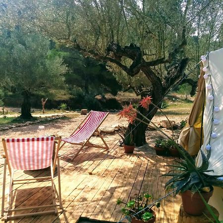 Romantic Safari Tent Tortosa Dış mekan fotoğraf